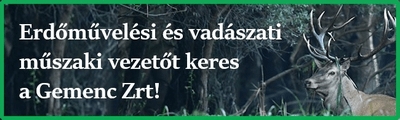 Gemenc Zrt. Műszaki vezetőt keres